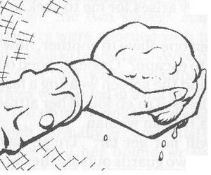 Sludir soap.jpg