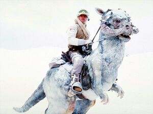 Luketauntaun.jpg
