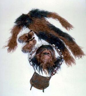 Chewie suit btm.jpg