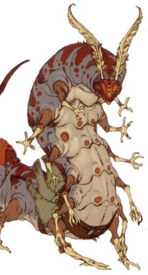 Ruurian UAA.jpg