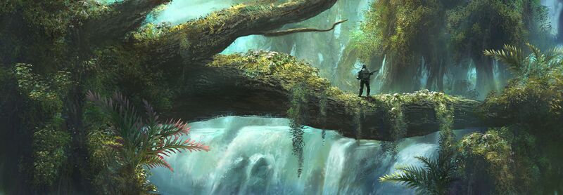 File:Yavin 4 tree.jpg