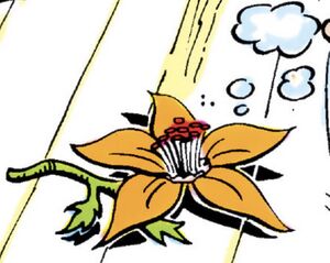 Damsel flower.jpg