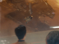 Thumbnail for version as of 10:12, 23 August 2022