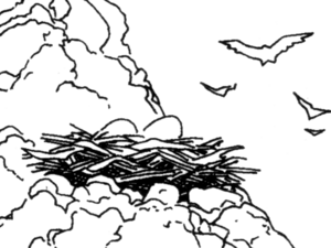 Avril Nest.png