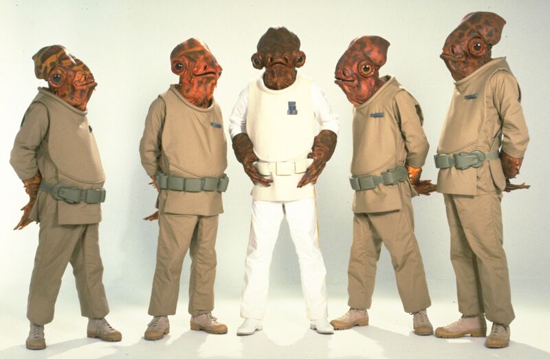 File:ABunchOfMonCalamari.jpg