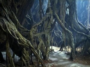Gnarltree btm.jpg