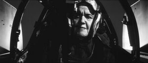 LadyPilot.jpg