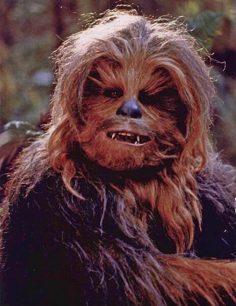 File:ChewbaccaCSWE.jpg