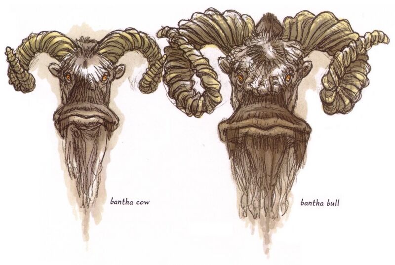 File:Bantha Bull and Cow.jpg
