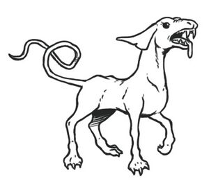 Canoid.jpg