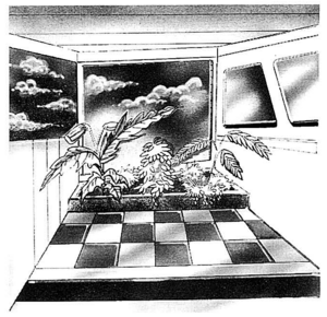 Deluxe Sun Room.png