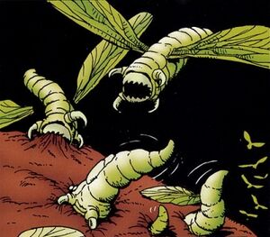 Fleshborer.jpg