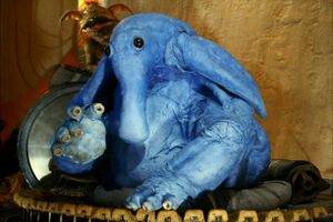 Max Rebo Playing.jpg