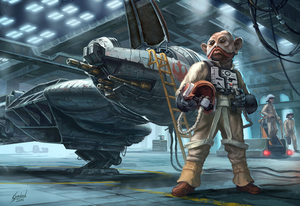 TenNumb-BWingSquadron-TCC.png