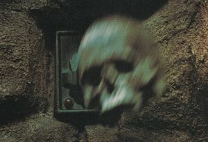 Kwerve skull.jpg