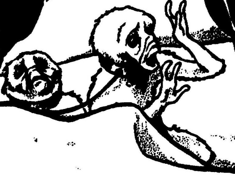 File:Lurrianslaves.jpg