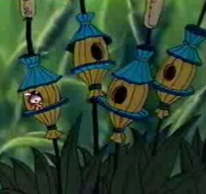 Mimph house.jpg