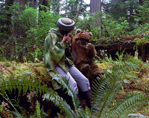 Leia Wicket.png