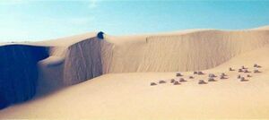 Western Dune Sea.jpg