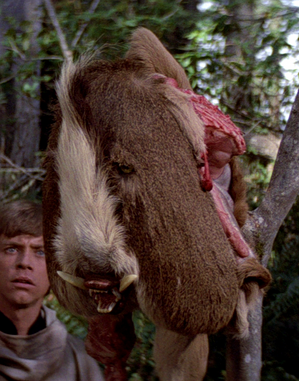 Endor Bait.png