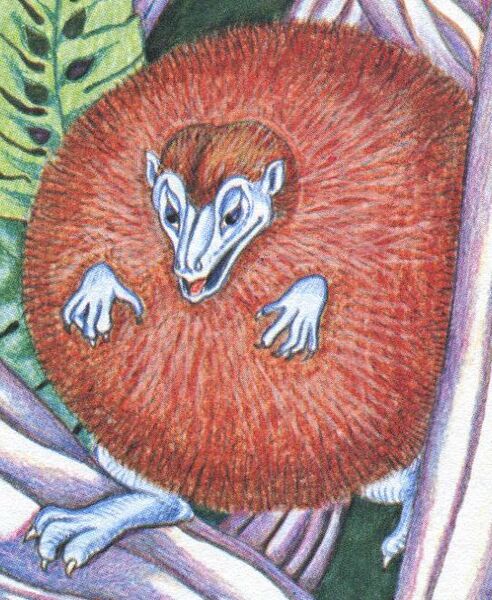 File:Lumpystrauma.jpg