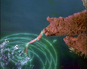 MagicLake.jpg
