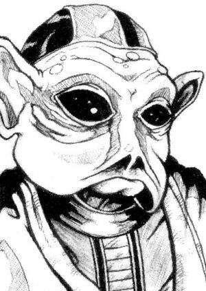 Aril Nunb.jpg