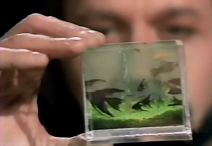 Pocket-sized aquarium.png