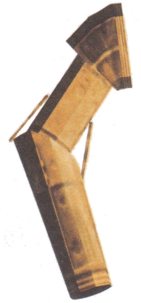 File:GC protocol arm.png
