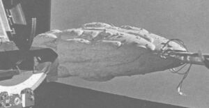 July 1983 CINEFEX wingless.jpg