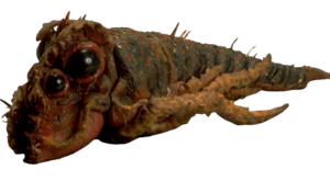 Monster book rock wart.png