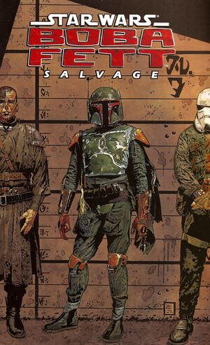 BF Salvage cover.jpg
