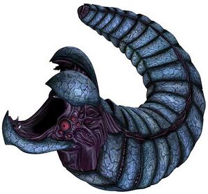 Rishi eel2.jpg